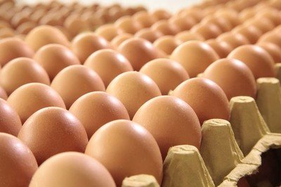 赤峰鸡蛋检测价格,鸡蛋检测机构,鸡蛋检测项目,鸡蛋常规检测